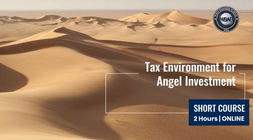 Tax Environment for Angel Investment Course